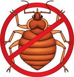 B.B.E. (Bedbug Eradicators)