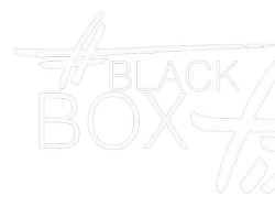 Black Box Fix